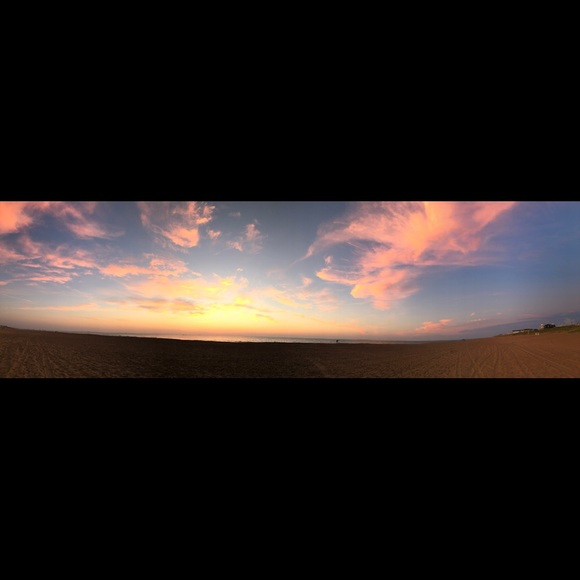 Meet your Posher, Max - Picture 1 of 1